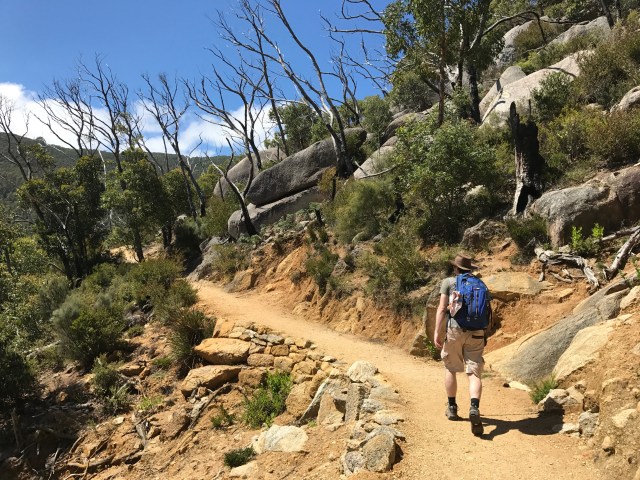 1907c430-2bc7-4d63-905f-133569cc1f9c