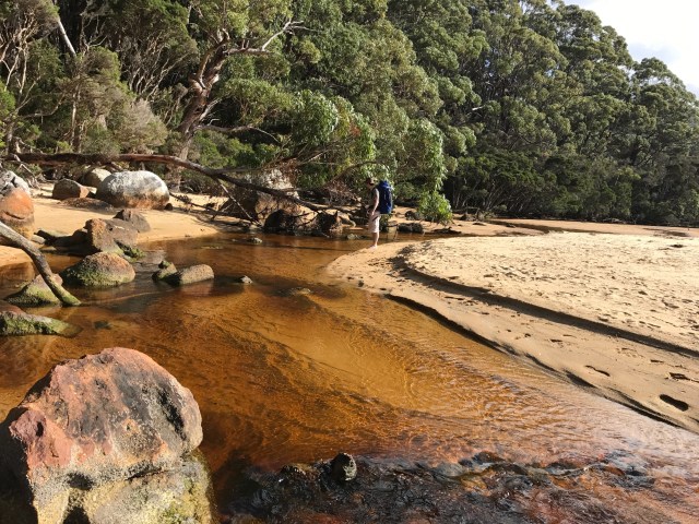 f018dd55-c237-48d7-97db-fbc852159a97