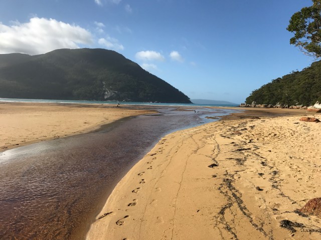 f04191e3-c638-4242-855b-644745bbb3e2